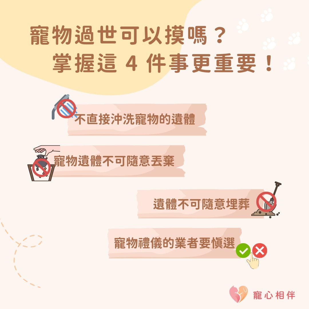 寵物過世可以摸嗎