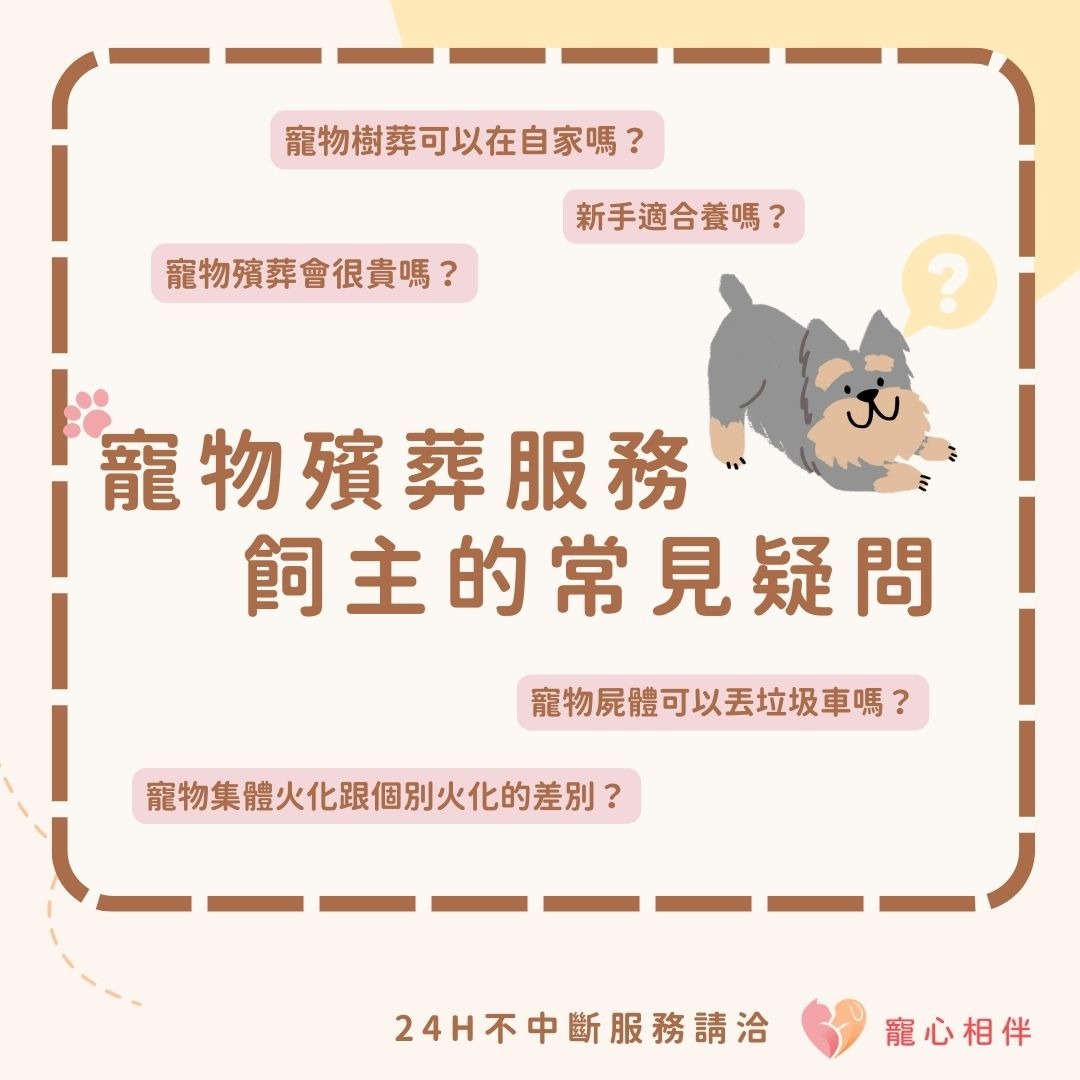 寵物殯葬相關疑問