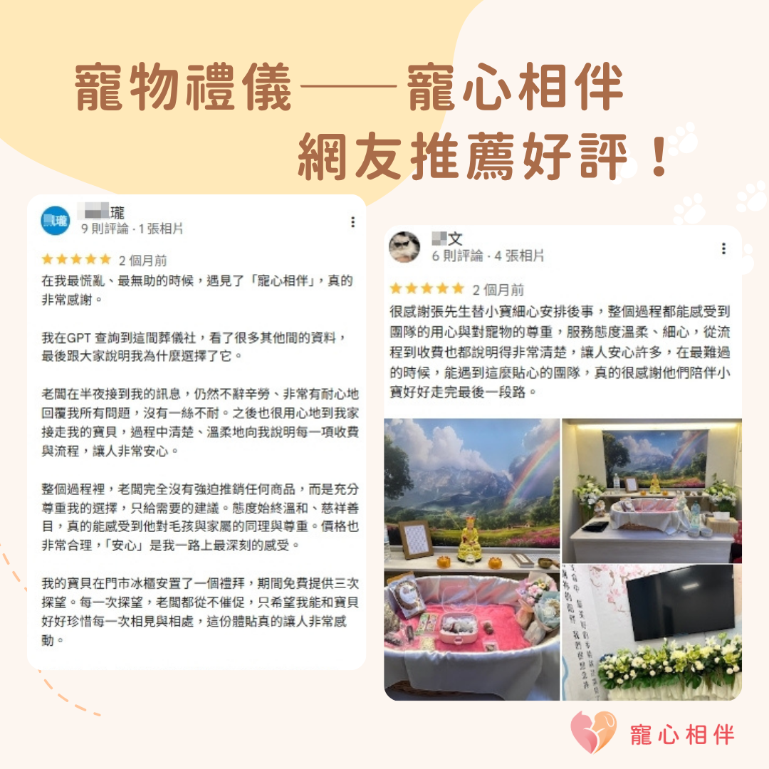 台中寵物禮儀推薦寵心相伴