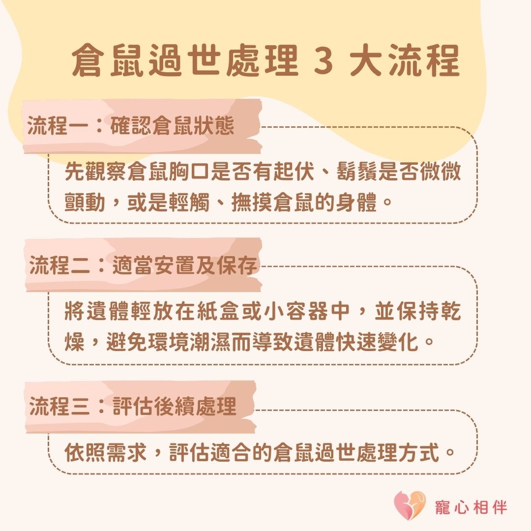 倉鼠過世處理流程