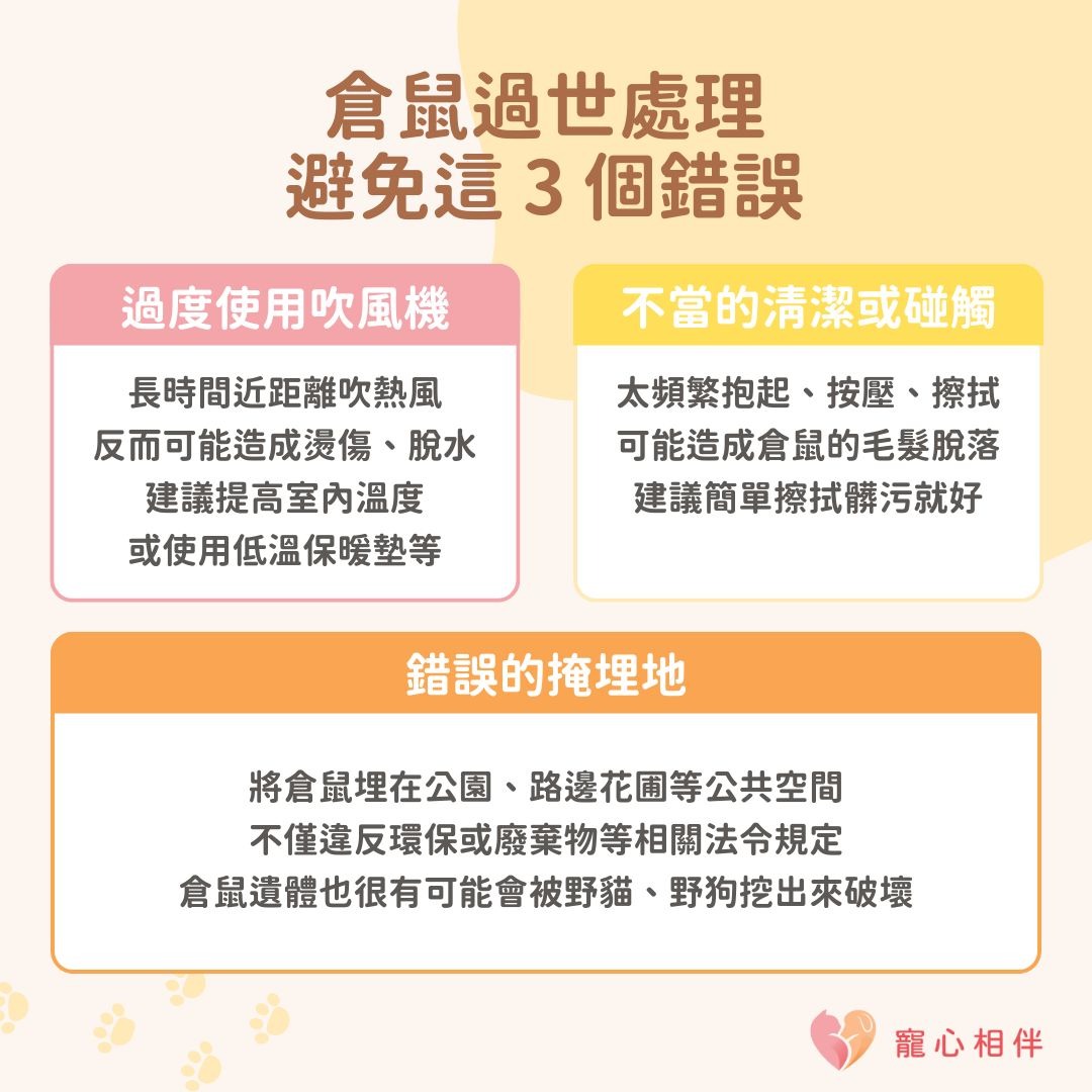 倉鼠過世處理注意事項