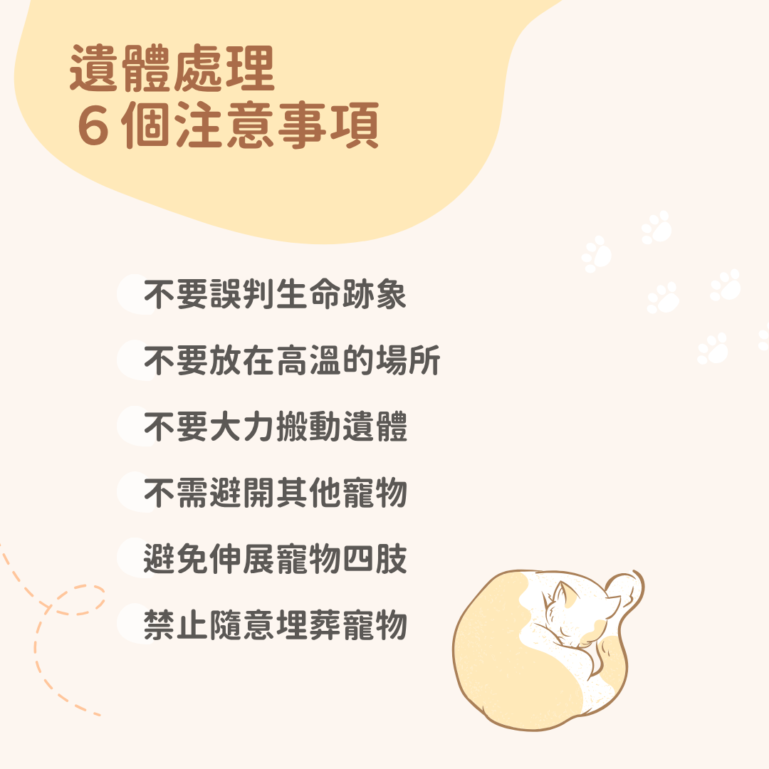 寵物過世禁忌