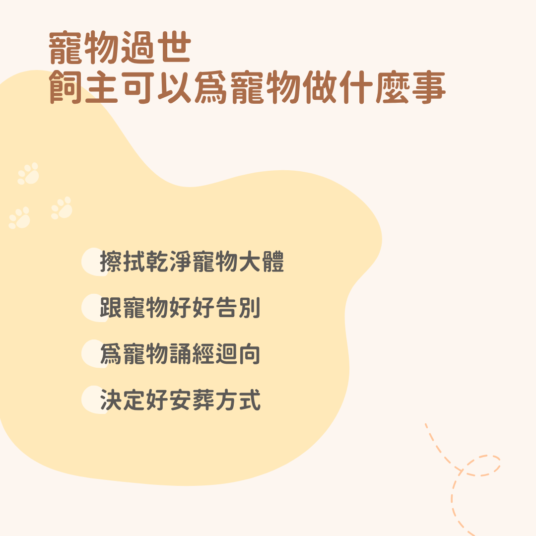 寵物過世，飼主可以為寵物做什麼事