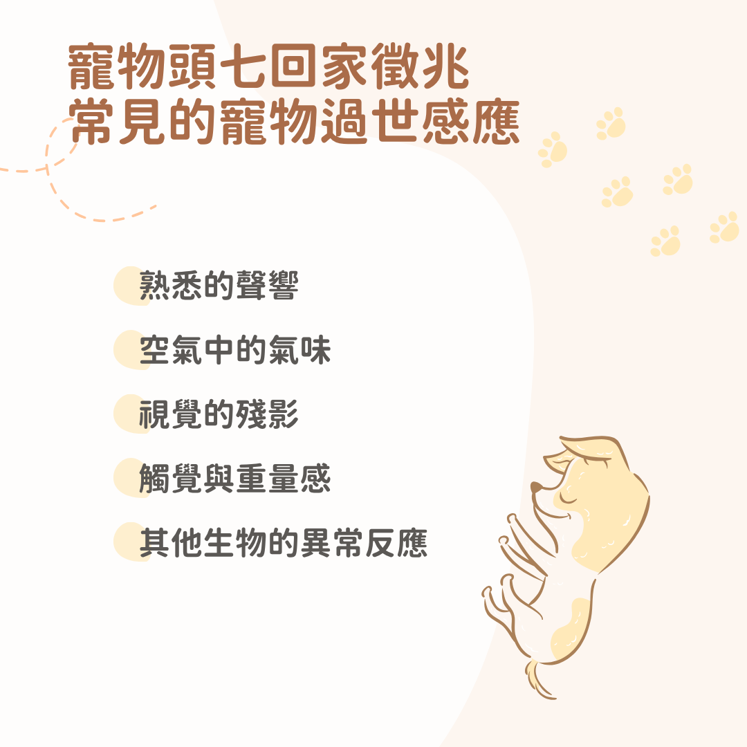 寵物頭七回家徵兆