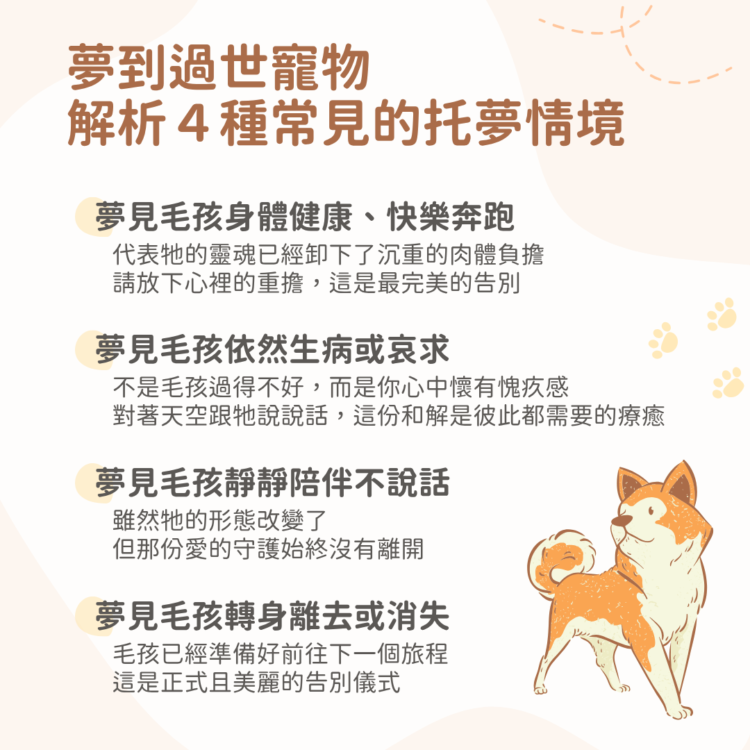 夢到過世寵物