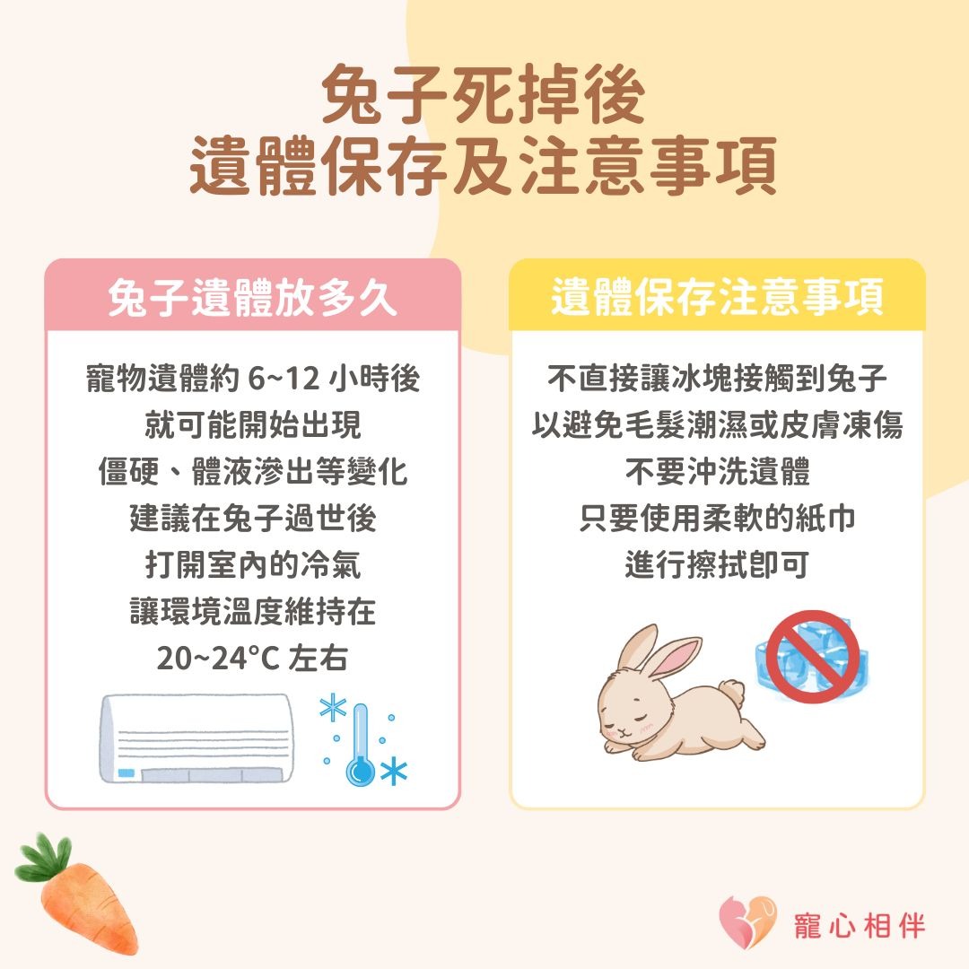 兔子死掉怎麼處理