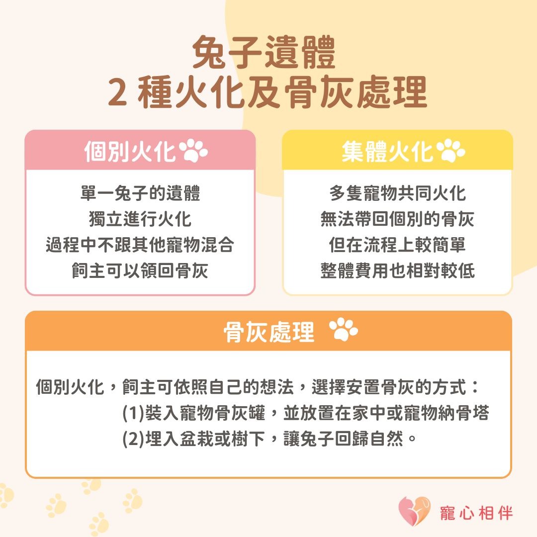 兔子火化