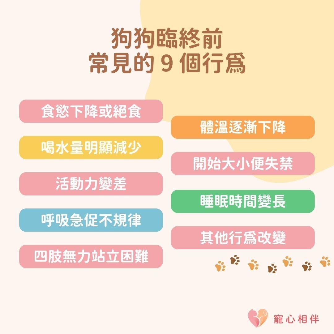 老狗臨終前症狀