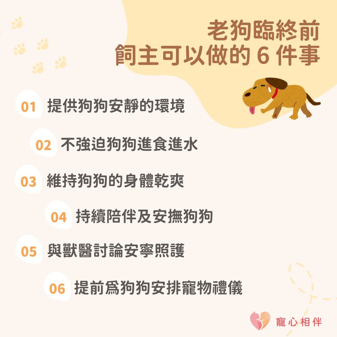 老狗臨終準備